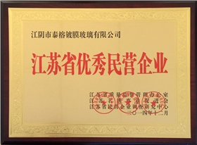 江蘇省優(yōu)秀民營(yíng)企業(yè)證書