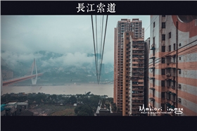 泰榕