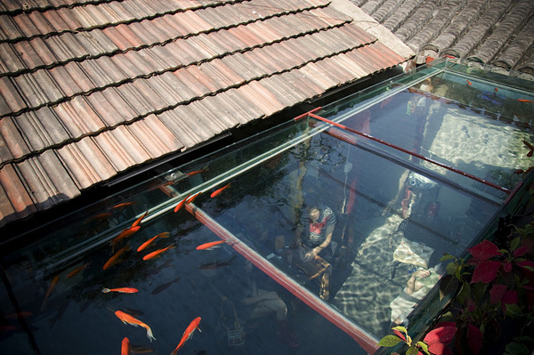 玻璃還能這樣用？