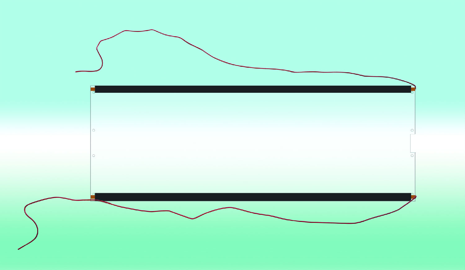 泰榕