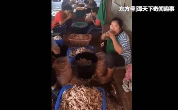 無骨雞爪
