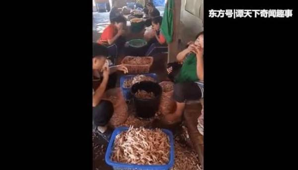 無骨雞爪