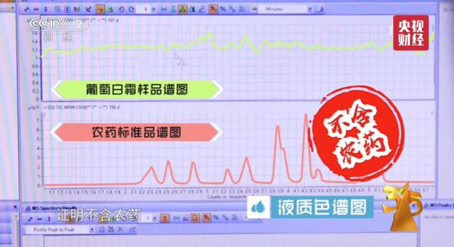 葡萄上的白霜是農(nóng)藥殘留？